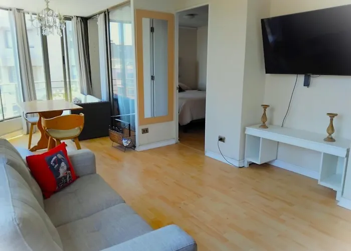 Departamento Muy Cerca Del Movistar Arena Y Del Centro De Sgto
